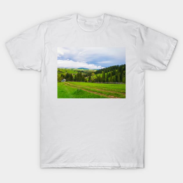 countryside T-Shirt by psychoshadow